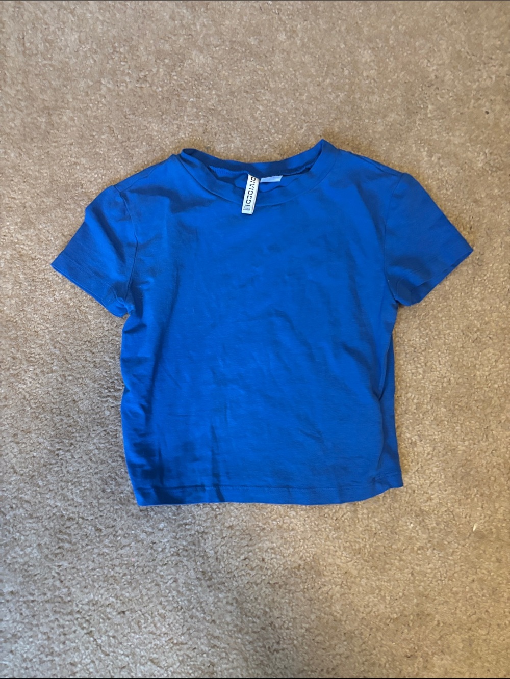 Divided Blue Crop Tee